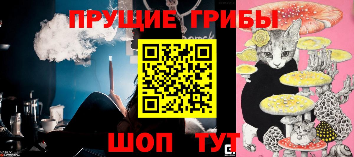 Галлюциногенные грибы GOLDEN TEACHER  Вход с VPN  Галлюциногенные грибы Psilocybe  Новоалександровск 